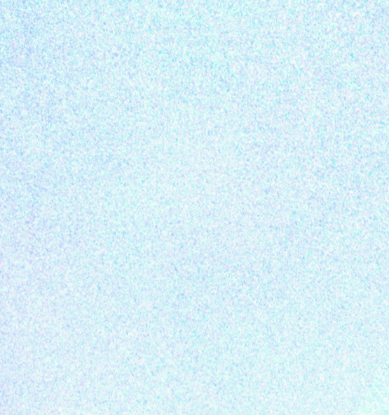 7C995A37-26C8-4F85-B169-0B51C6CCABC5